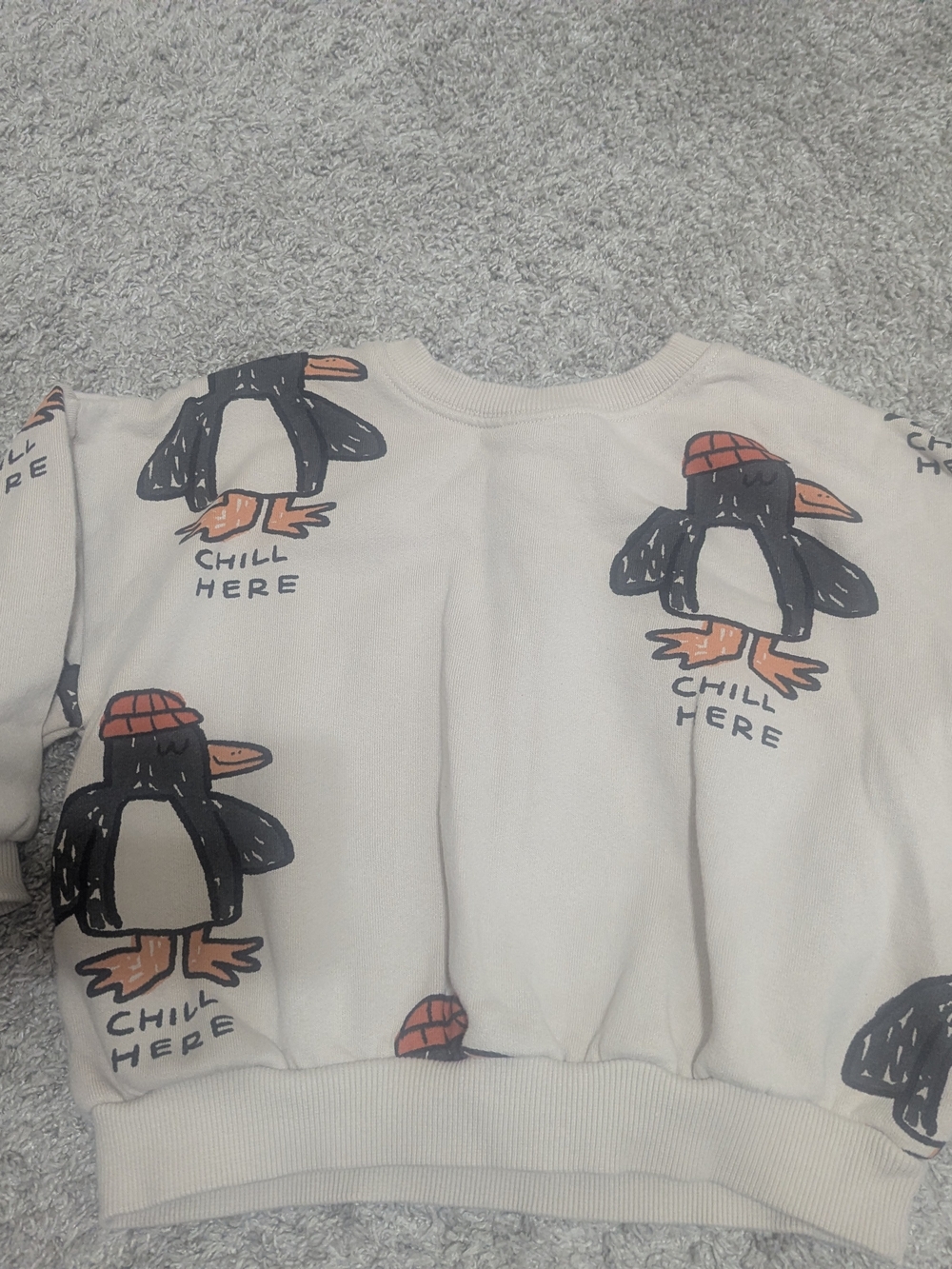 Zara Penguin Tan Kids Sweatshirt